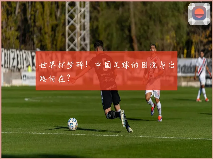 世界杯梦碎！中国足球的困境与出路何在？