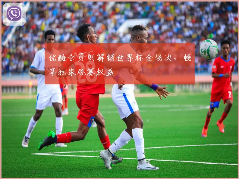 优酷会员制解锁世界杯全场次，畅享独家观赛权益