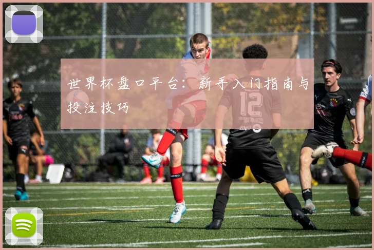 世界杯盘口平台:新手入门指南与投注技巧